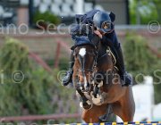 ARIOLDI F AGADIR CampITA2013- S5 1261 : AGADIR, ARIOLDI FRANCESCA, Campionati Italiani 2013, Cattolica, Horse Riviera Resort, foto di Stefano Secchi ©
